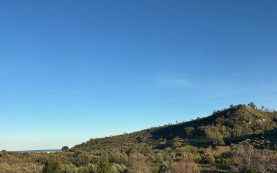 panorama 1